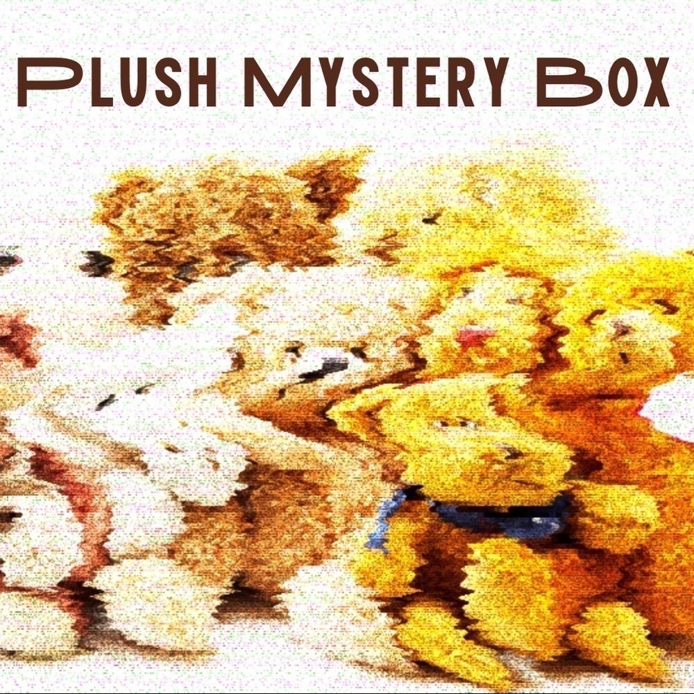 Plush Stuffed Animal Mystery Box Mary Meyer & TY